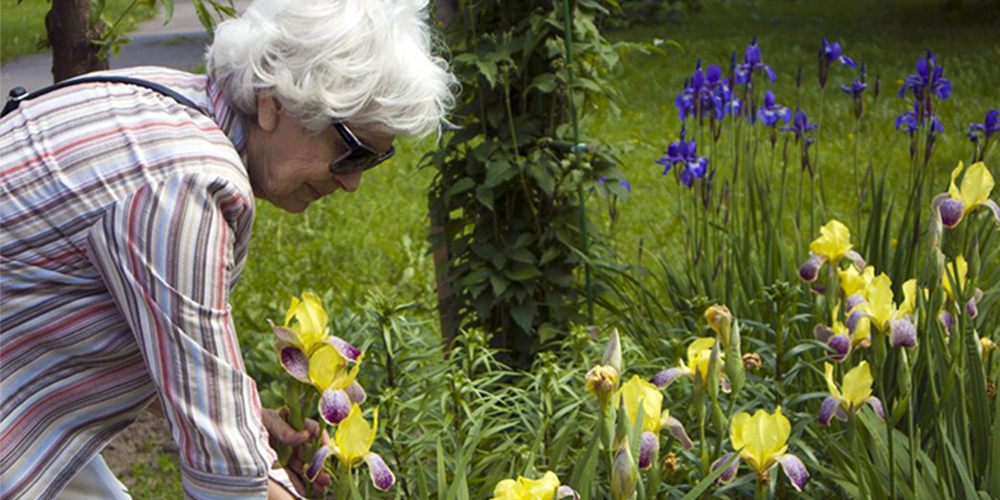 适合视障老人的日常活动及家庭支持事项