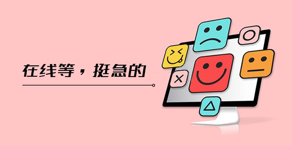 2020年瑞杰珑电子助视器产品满意度调查