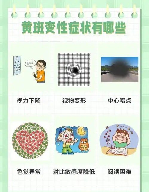 黄斑变性的症状.webp