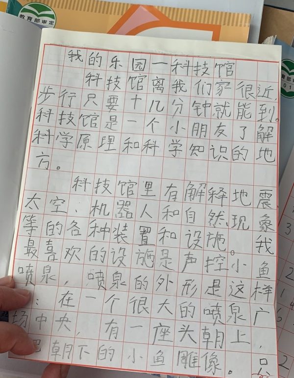 低视力小女孩写的作文